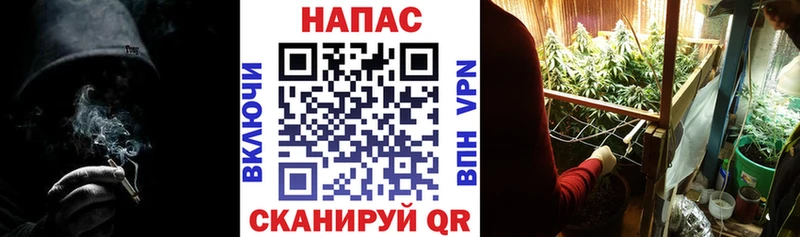 наркота  Томилино  Шишки марихуана AK-47 